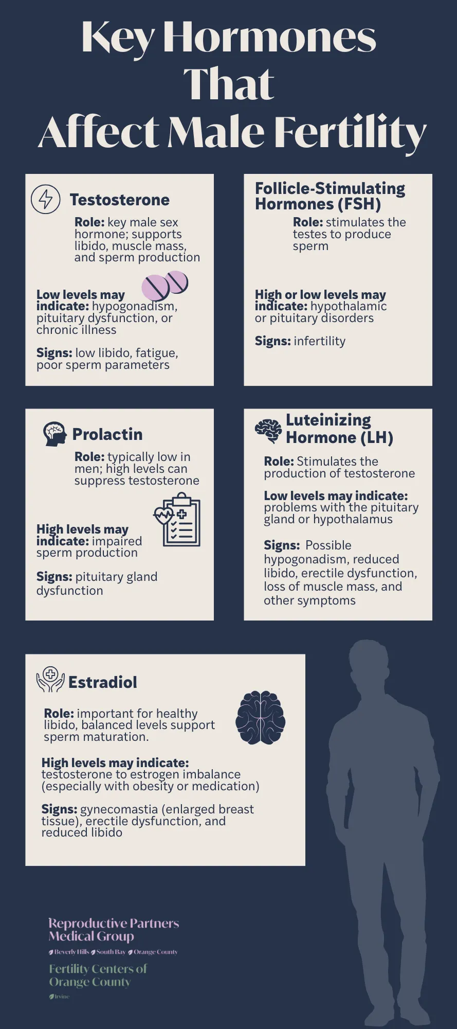 Key Hormones That Affect Male Fertility Infographic