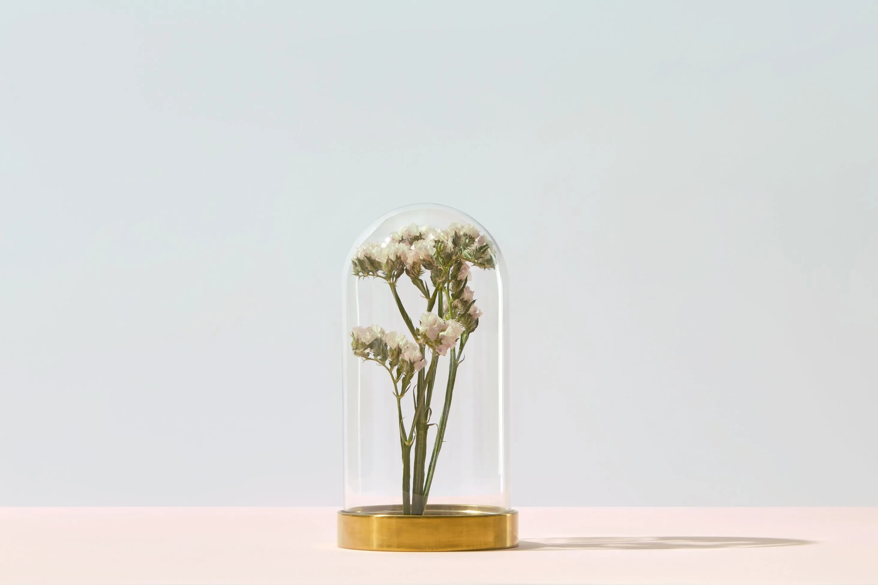 A delicate glass dome showcasing a small vase brimming with vibrant flowers inside.