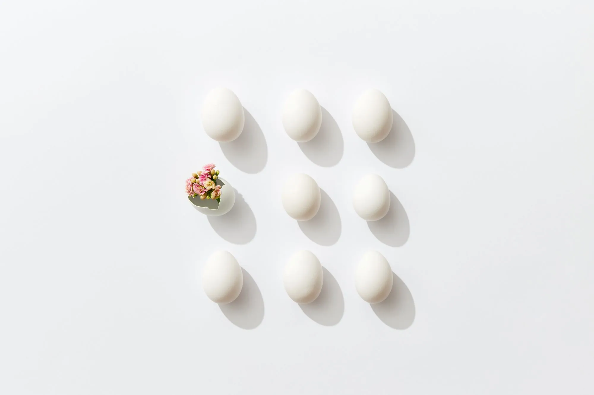 Is PCOS Being Renamed to PMOS? What Women Need to Know About Fertility, Hormones, and Metabolic Health