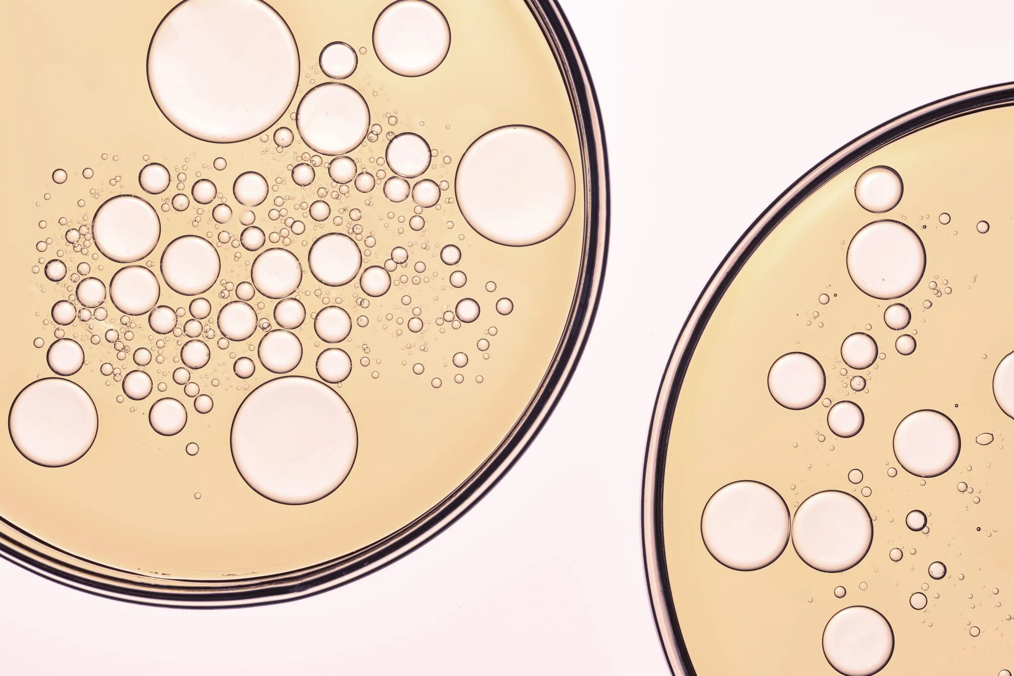IVF: A Comprehensive Guide to Understanding In Vitro Fertilization