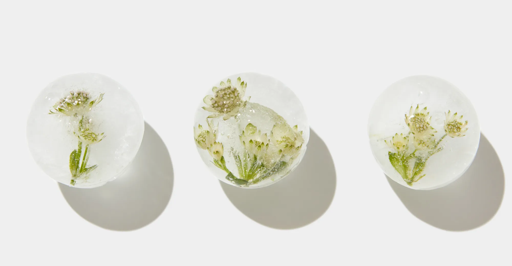 Egg Freezing Today: What Patients Need to Know About Costs, Success Rates, and Outcomes
